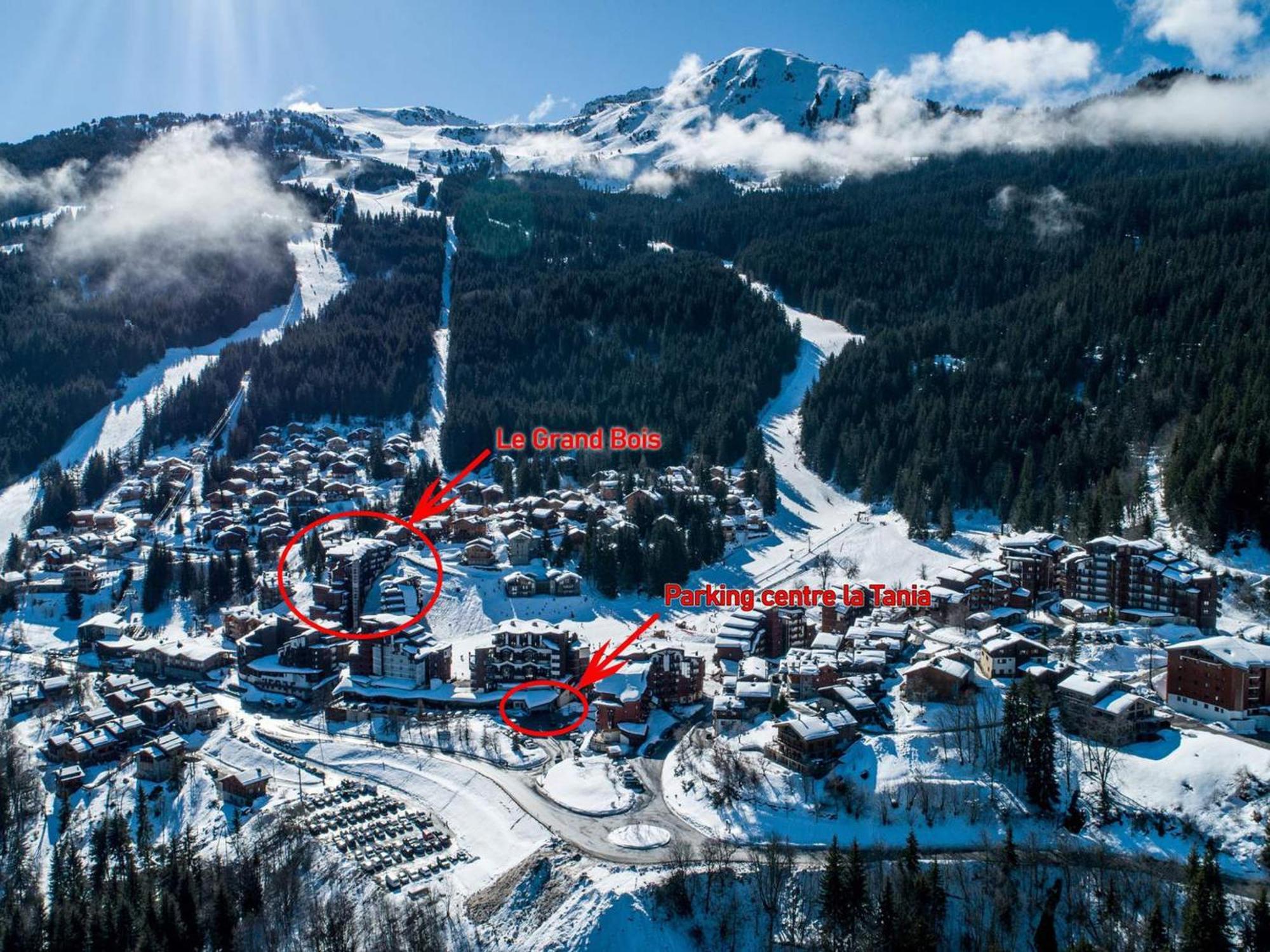 La Tania, 2 Pièces, 4 Personnes - Fr-1-182a-5 *